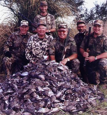Argentina Dove Hunting