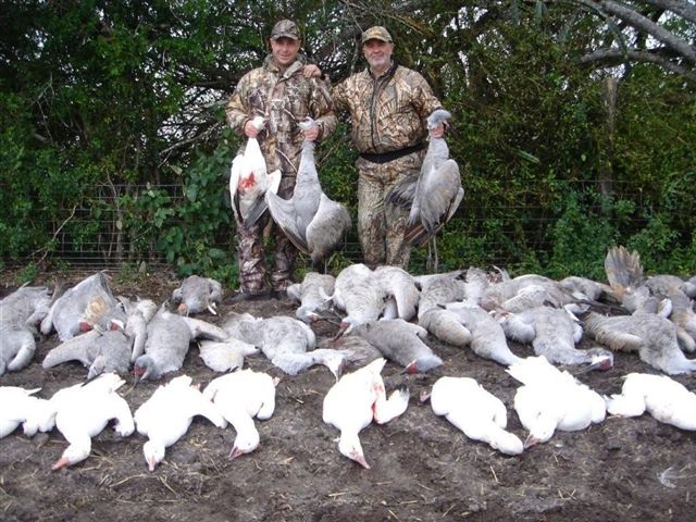Mexico Goose Hunting